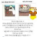 멍그니엘 | 동탄강아지호텔 소중해 멍그니엘 후기