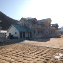 윤심농장 | [단양] 드림스위트키즈펜션