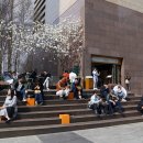 서울남산희래등 이미지