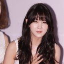 레인보우독