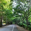 동락가든 이미지