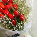 (주)무지개팜 이미지