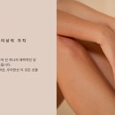 우아선 네이버블로그