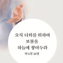 압도적인 긍휼로 🔊 이미지