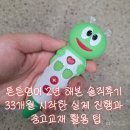 (주)매직박스 | 튼튼영어 2년 해본 솔직후기, 33개월 시작한 실제 진행과 중고교재 활용 팁