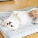 만안구청-5 이미지