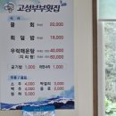 고성부부횟집 | 고성 부부횟집 맛집 후기(내돈내산)