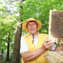 정광산 포인트데일리