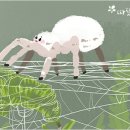 벨벳 거미의 모성애 / 따뜻한 하루 이미지