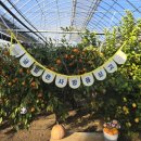 병식농장 이미지