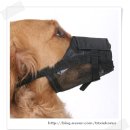 머즐(Muzzle) 이미지