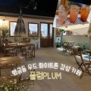카페플럼(CAFE PLUM) | 수원 행궁동 카페 플럼(PLUM)| 채광 좋은 우드 감성 신상 카페 추천 (주차·메뉴·영업시간 총정리)