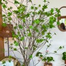 GS25 이천승리점 이미지