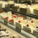 11500-5-62-104 | 한스 마곡점｜마곡 디저트맛집_ 딸기치즈타르트 픽업 후기