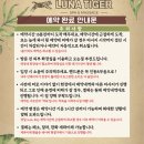 타이거샵 | [태교여행]보홀 헤난리조트 근처 마사지샵, 타이거스파(임산부마사지 후기)