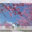 난터우 여행, 바이리 매너 칭징 호텔 추천 후기: 숨겨진 보석을 찾다