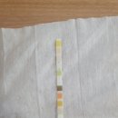 케톤수치 소변스틱 이미지