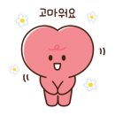 들레 (DEULLE) 이미지