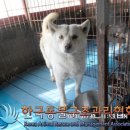 산곡로 이미지