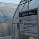 푸르뫼농장 이미지