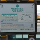 터미널7길 티스토리