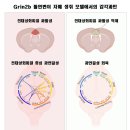 성화상회 이미지