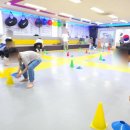동원태권도장 네이버블로그