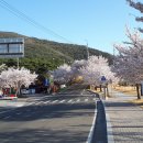 충효입구 삼거리 이미지