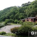 민주지산자연휴양림 이미지