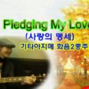 에밀로우 해리스의 Pledging My Love(사랑의 서약)입니다 이미지