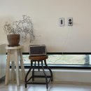 애월별땅 이미지