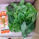 류이용소 이미지