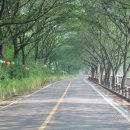 섬진강자전거길8 이미지