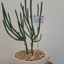 강남센트럴요양병원 이미지