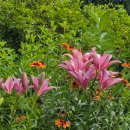 밀가마국시집 이미지