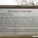 성동리 고분군 이미지