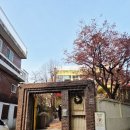 대원미디어코리코카페제주점 이미지