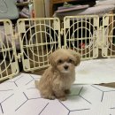 2019년 9월 일상