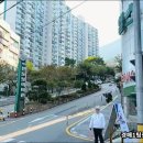 학장중학교 이미지