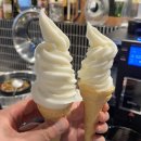 대구 동구 소고기 맛집 와우정 내돈내산 솔직후기