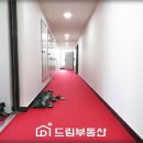 루미드림