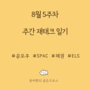 8월 5주차 주간일기; 이보다 튼튼한 잇몸