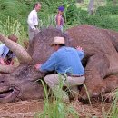 트리케라톱스-2 이미지