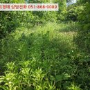 문정마을회관 이미지