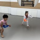 용인대 새로 태권도 네이버블로그