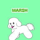 상  월 | 뉴욕 월스트리트 차징불 황소상 I 강아지랑 뉴욕 여행 EP.29