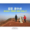 문수산산림욕장 이미지