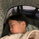자루헤어 네이버블로그