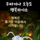 진정산공원 Daum카페