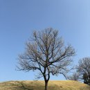 꼬앙드파리 | 송파 감성카페ㅣ꼬앙드파리 올림픽공원 본점 후기